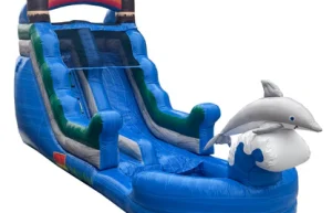 14ft Dolphin Splash Waterslide