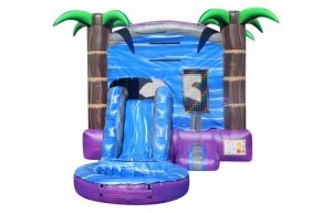 Tropical Mini Waterslide Combo