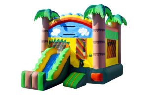 Tropical Rainbow Mini Combo