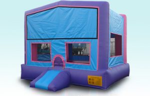 Purple Module Jumper